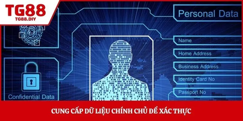 Cung cấp dữ liệu chính chủ để xác thực