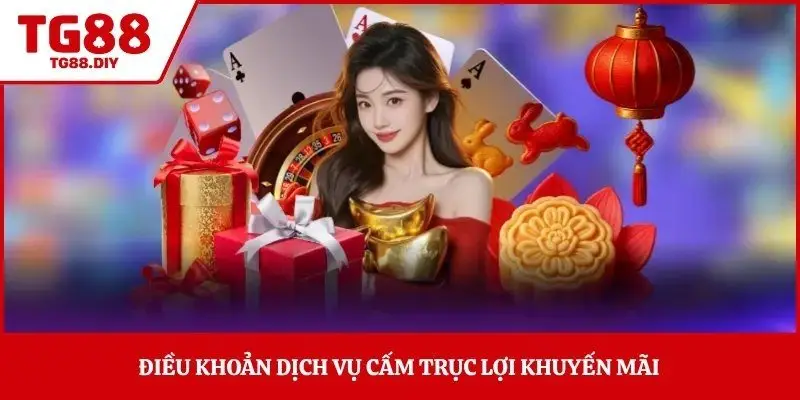 Điều khoản dịch vụ cấm trục lợi khuyến mãi