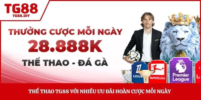 Thể thao TG88 với nhiều ưu đãi hoàn cược mỗi ngày